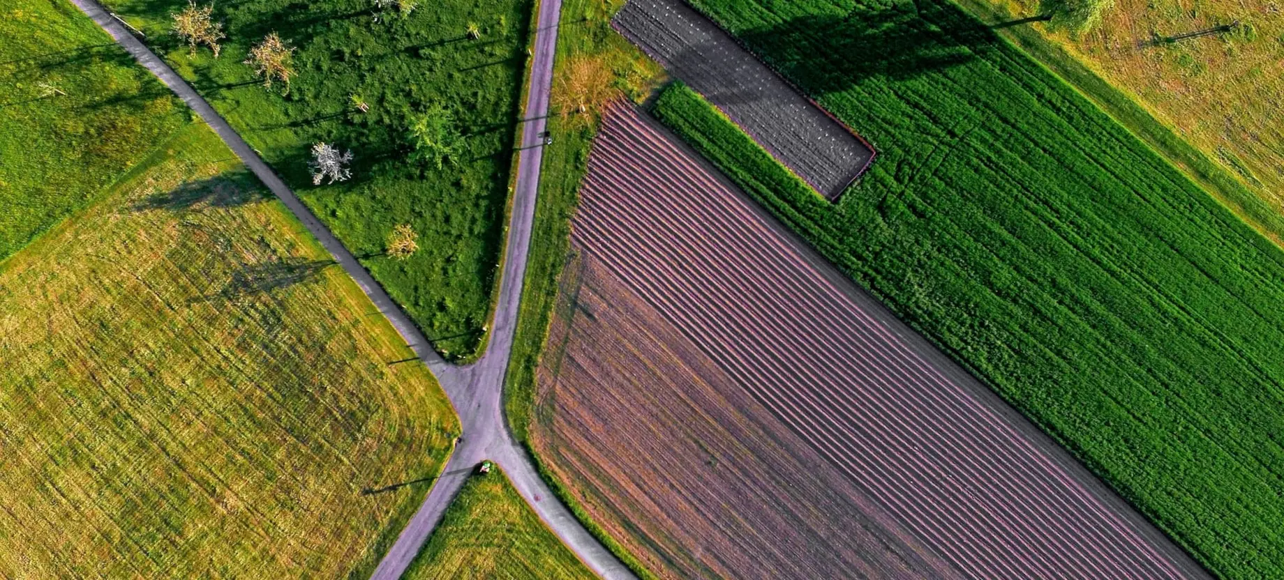 Unico - Agricoltura e Innovazione