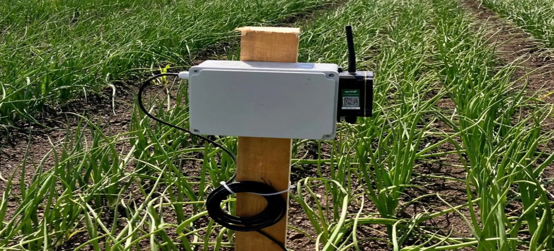 Unico - Agricoltura e Innovazione